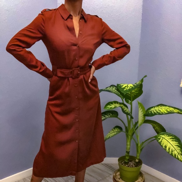 Rust Colored Belted Dress w/Pockets - Picture 3 of 6